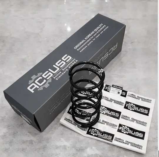 Задні пружини Chevrolet Lacetti (Шевролє Лачетті)