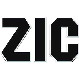 Моторні масла ZIC